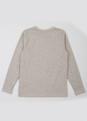 Бежевый демисезонный кэжуал лонгслив ArDoMi меланж