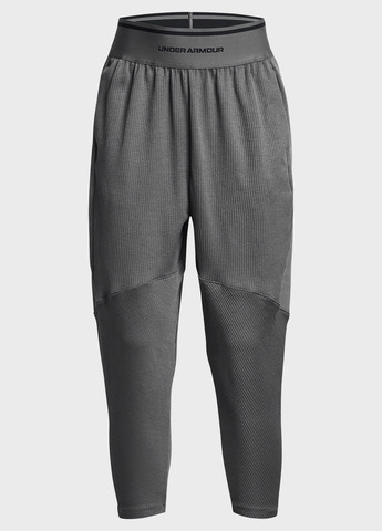 Брюки Under Armour (306653834)