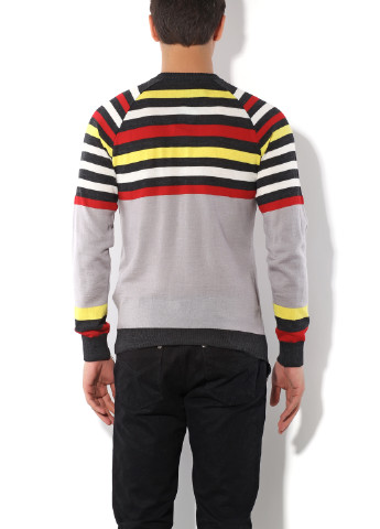 Сірий демісезонний пуловер пуловер Flash