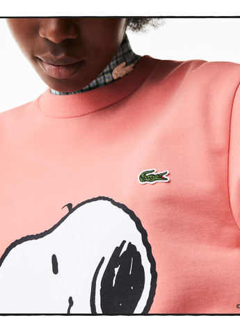 Свитшот Lacoste (265091278)