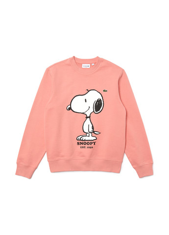 Свитшот Lacoste (265091278)