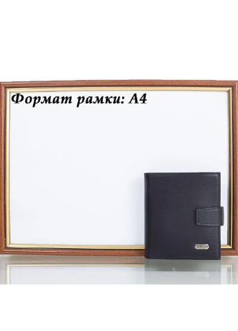 Мужской кожаный кошелек 10х11х2,6 см Canpellini (253032287)