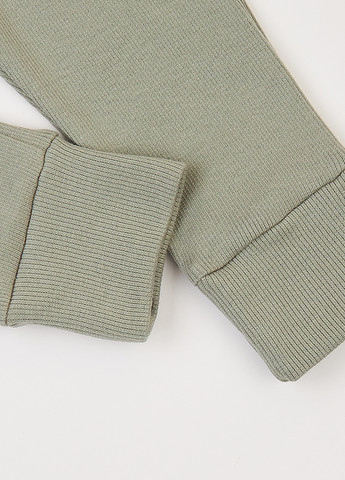 Оливковий демісезонний комплект (лонгслів, штани) Фламинго