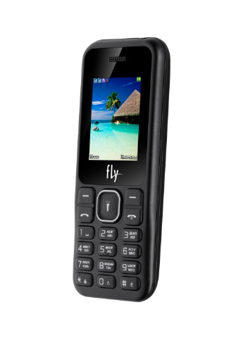 Мобильный телефон FLY ff190 black (139350075)