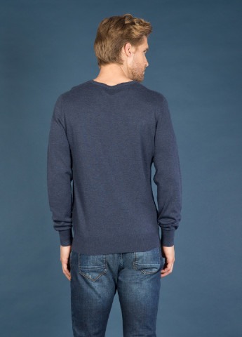 Синий демисезонный пуловер пуловер Colin's