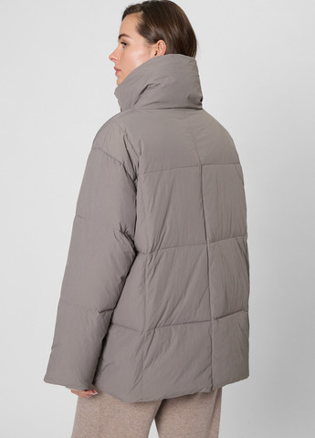 Серый зимний Пуховик PRPY