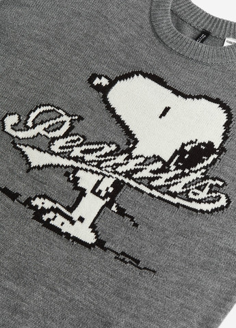 Сірий зимовий джемпер джемпер H&M