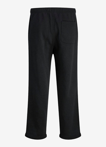Штани Jack & Jones (363048354)