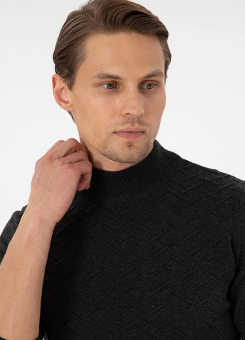 Темно-сірий демісезонний светр Pierre Cardin