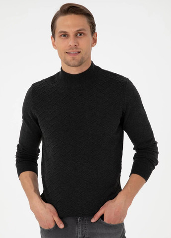 Темно-сірий демісезонний светр Pierre Cardin