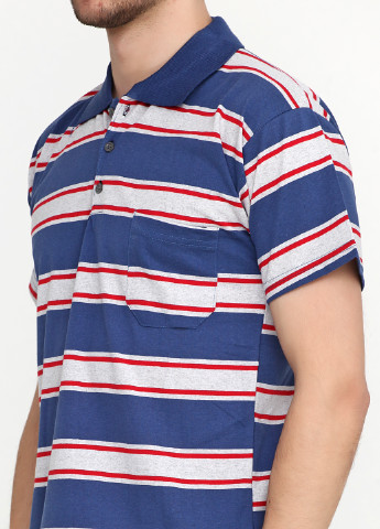 Серо-голубой футболка-поло для мужчин IPEK в полоску