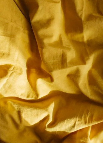 Комплект білизни з вареної бавовни Curry (200x200) Leglo (253942726)