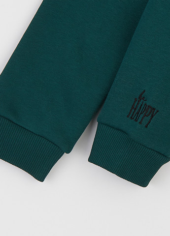 Смарагдовий демісезонний костюм (толстовка, штани) брючний Ляля