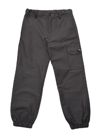 Темно-серые кэжуал демисезонные брюки карго Trendyol