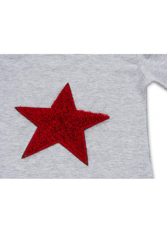 Красный демисезонный костюм десткий с объемной аппликацией (8401-104g-gray) Breeze