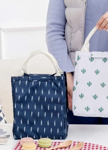 Сумка для ланча (lunch bag), Кактус No Brand 401510 (252644032)
