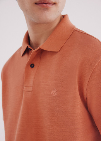 Поло Springfield (342058875)