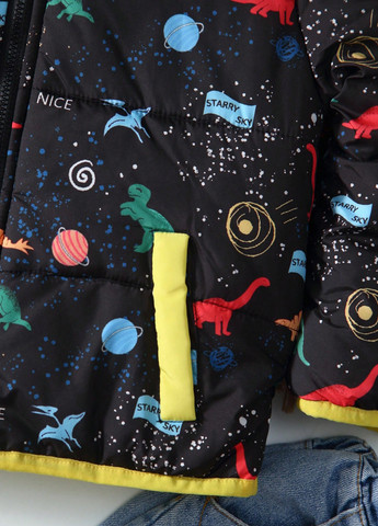 Чорна демісезонна куртка SHEIN