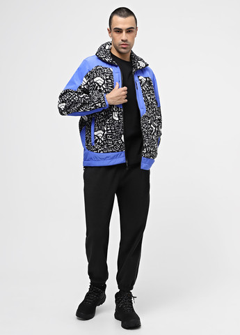 Комбінована демісезонна вітровка The North Face