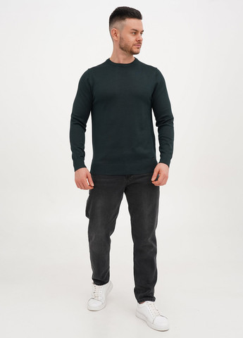 Темно-зелений демісезонний джемпер джемпер Trend Collection