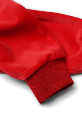Красный демисезонный костюм (свитшот, брюки) брючный ArDoMi