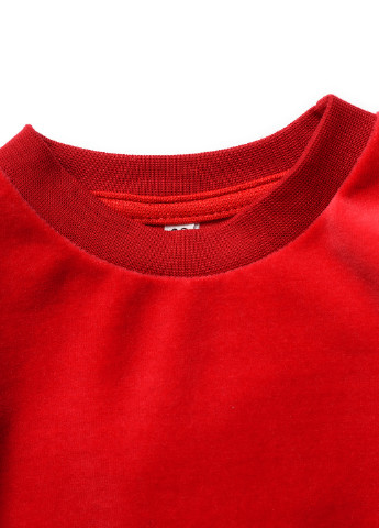 Червоний демісезонний костюм (світшот, штани) брючний ArDoMi
