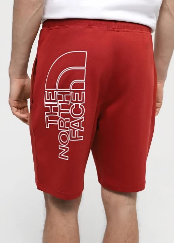 Шорти The North Face (330361440)