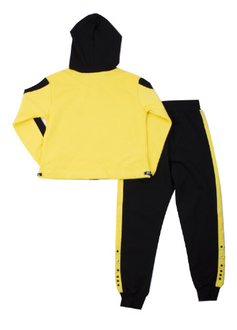 Жовтий демісезонний костюм (толстовка, брюки) брючний Cichlid