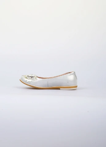 Серебряные туфли Palaris