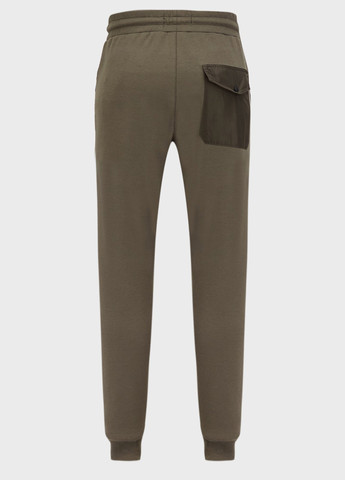 Серо-зеленые спортивные, кэжуал демисезонные джоггеры брюки Replay