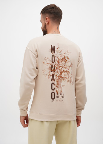 Бежевый свитшот Boohoo рисунок без декора (302448732)