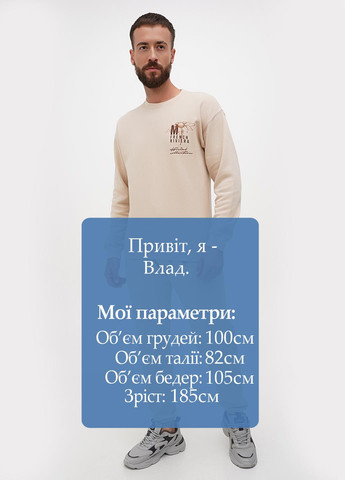 Бежевый свитшот Boohoo рисунок без декора (302448732)