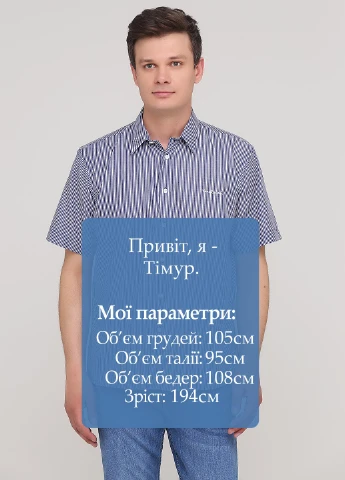 Синяя кэжуал рубашка в полоску Pierre Cardin