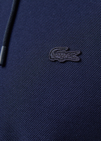 Толстовка Lacoste (329694399)