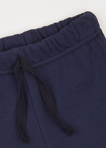 Синій демісезонний комплект (лонгслів, штани) Фламинго