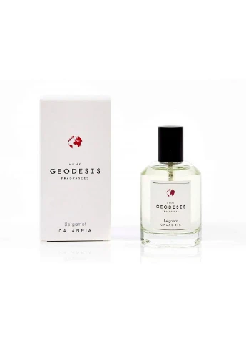 Арома-спрей для будинку Bergamot 100 мл (1072003) Geodesis (227357144)