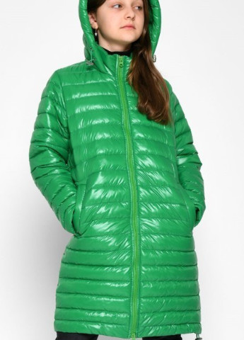 Зеленое демисезонное Демисезонное пальто X-Woyz