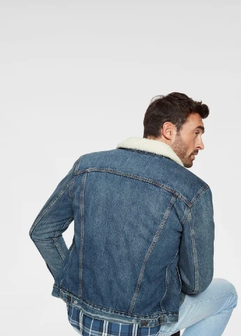 Синяя демисезонная куртка Levi's