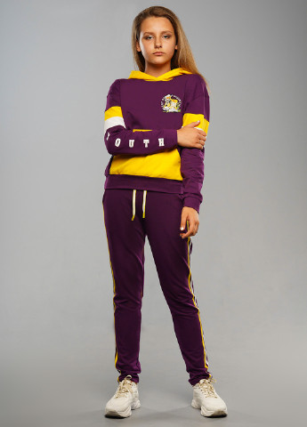 Фіолетовий демісезонний костюм (худі, брюки) брючний Tiaren