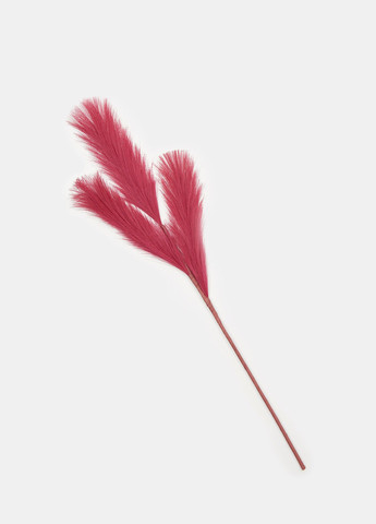 Квіти Sinsay (352192824)