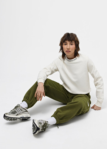 Штани The North Face (363485343)