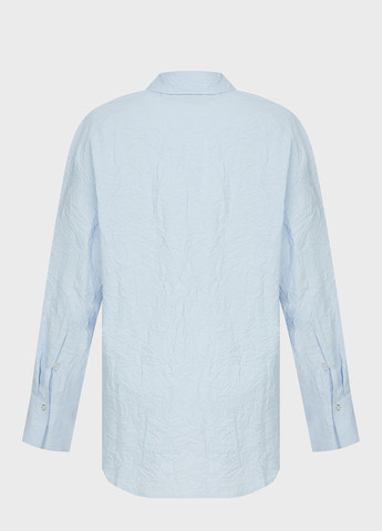 Голубой классическая, кэжуал рубашка однотонная PRPY
