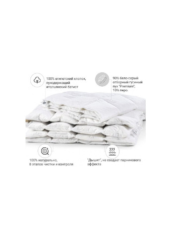 Одеяло пуховое Raffaello 050 лето 140х205 см (2200000005786) Mirson (254078250)