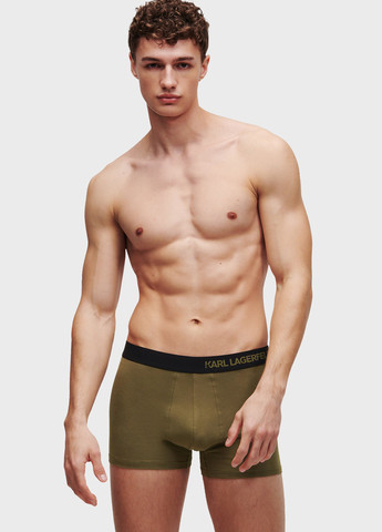 Трусы (7 шт.) Karl Lagerfeld (344509271)