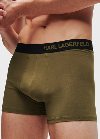 Трусы (7 шт.) Karl Lagerfeld (344509271)
