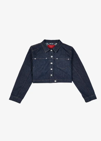 Синя демісезонна куртка Levi's