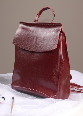 Шкіряний сумка-рюкзак Vishnya (254453529)