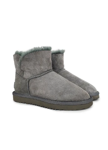 Жіночі угі UGG Угги (254582761)