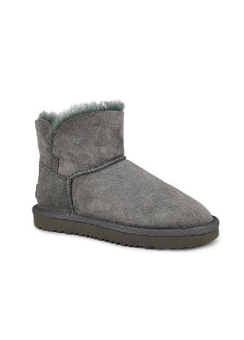 Жіночі угі UGG Угги (254582761)