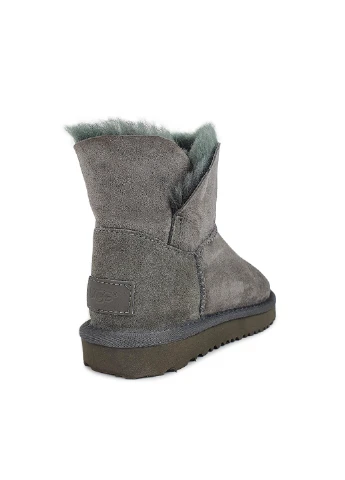 Жіночі угі UGG Угги (254582761)
